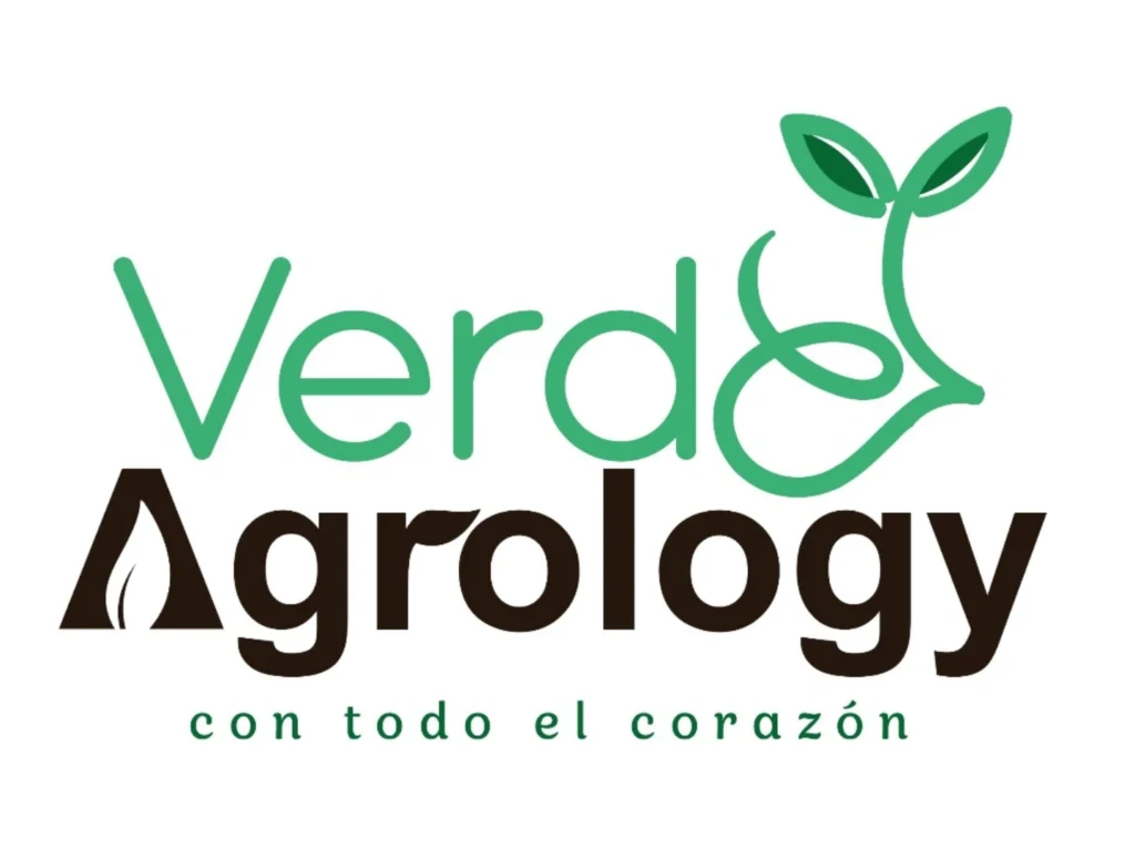 IMG_20250603_151715_538